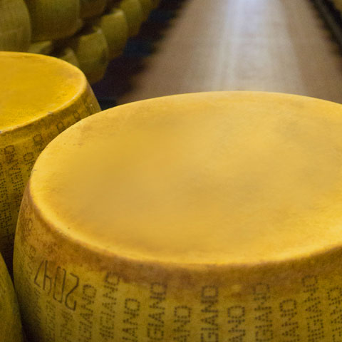 Our Parmigiano Reggiano Cheese